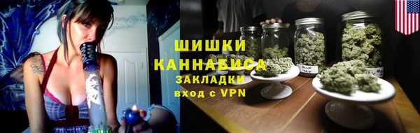 твердый Горняк