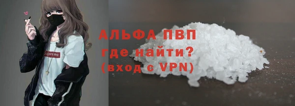 ГАЛЛЮЦИНОГЕННЫЕ ГРИБЫ Гусев