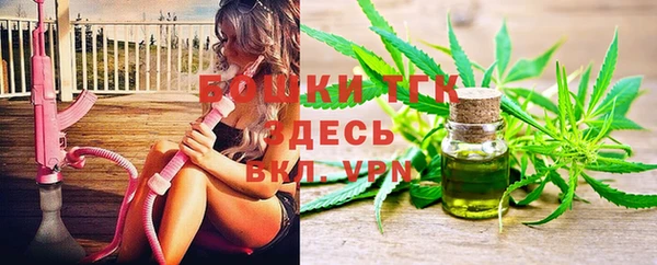 ГАЛЛЮЦИНОГЕННЫЕ ГРИБЫ Гусев